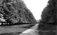 Horsham, Denne Park, the Avenue 1907