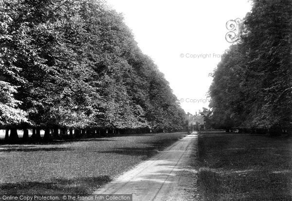 Photo of Horsham, Denne Park, the Avenue 1907
