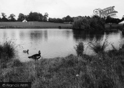 Park, The Pond c.1960, Horsham