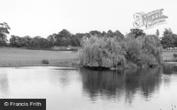 Park, The Pond c.1960, Horsham