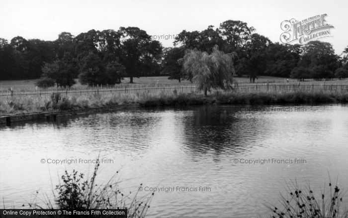 Photo of Horsham, Park, The Pond c.1960