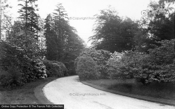 Photo of Horsham, Roffey Park Rehabilitation Centre, Drive c.1960