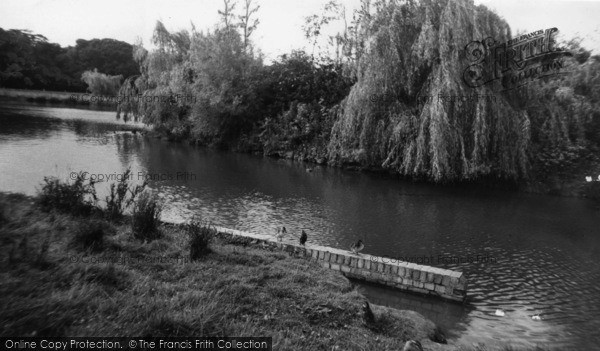 Photo of Horsham, The Pond c.1960