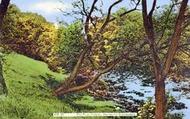 Horton-In-Ribblesdale, The River Ribble c.1960, Horton In Ribblesdale