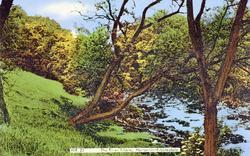 Horton-In-Ribblesdale, The River Ribble c.1960, Horton In Ribblesdale