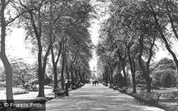 Main Walk, Greenhead Park c.1955, Huddersfield