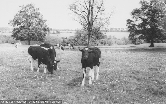 Photo of Hungerford, The Common c.1965