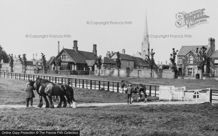 Photo of Huntingdon, Working Horses 1929