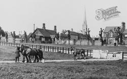 Working Horses 1929, Huntingdon