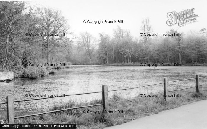Photo of Hurstpierpoint, Danny House Lake c.1960