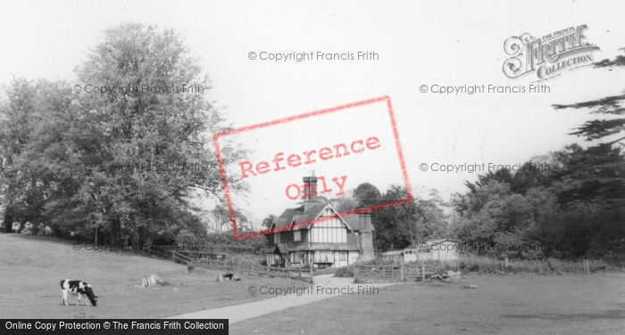 Photo of Hurstpierpoint, Danny House, The Grounds And Lodge c.1960