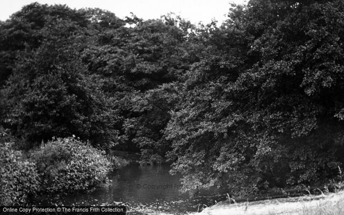 Photo of Hutton Rudby, The River c.1955