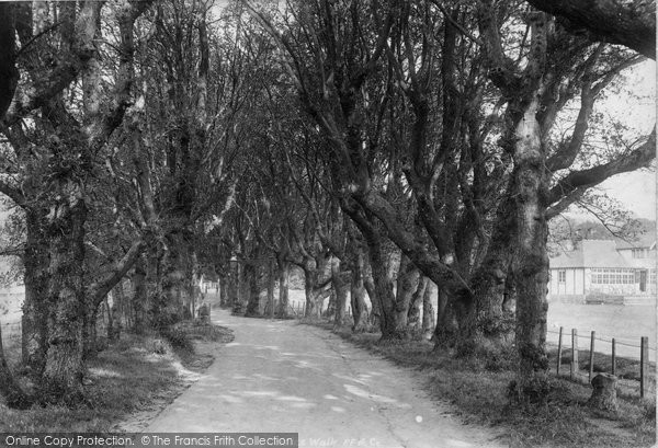 Photo of Hythe, Ladies Walk 1903
