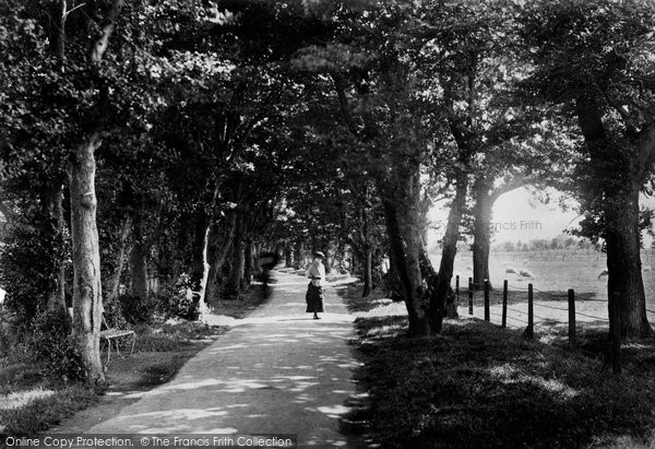 Photo of Hythe, Ladies Walk c.1884