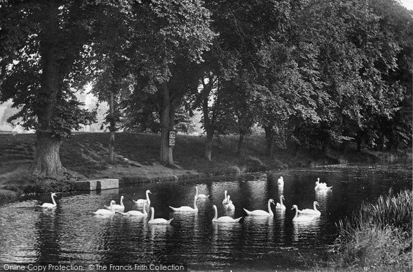 Photo of Hythe, Swans On The Canal 1918