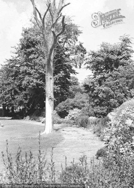 Photo of Hythe, The Park c.1960