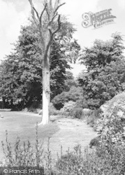 The Park c.1960, Hythe