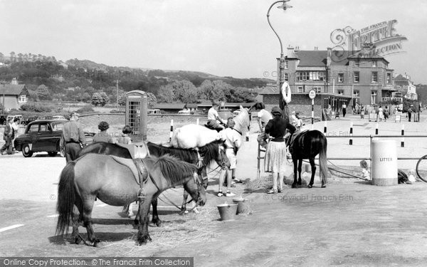 Photo of Hythe, The Ponies c.1960