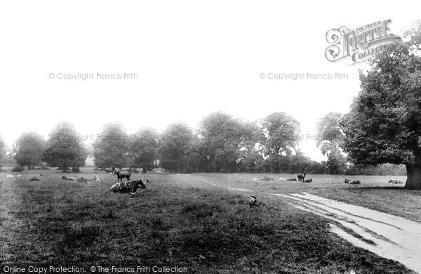Photo of Ickleford, The Fields 1903