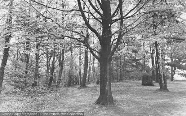 Photo of Ide Hill, The National Trust Land c.1955