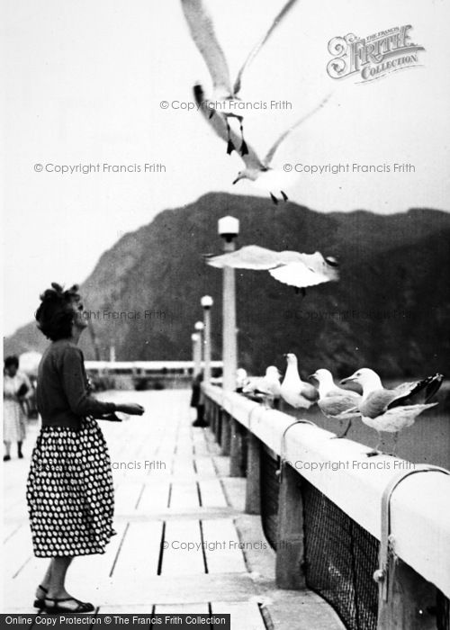 Photo of Ilfracombe, Feeding The Sea Gulls c.1955