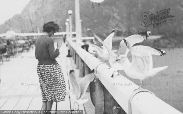 Photo of Ilfracombe, Feeding The Sea Gulls c.1955