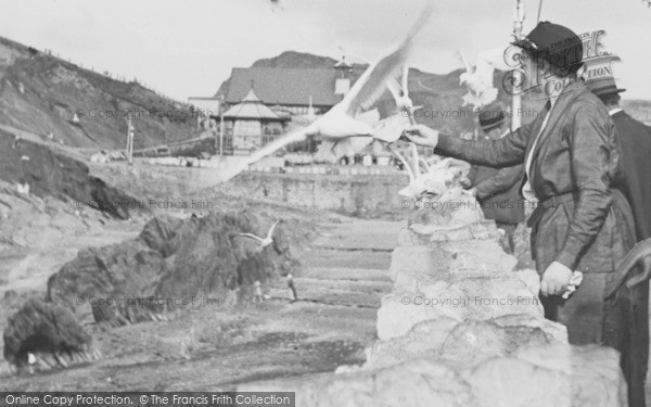 Photo of Ilfracombe, Feeding The Sea Gulls c.1955