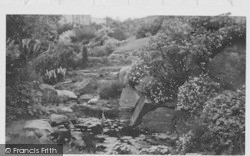 Lily Pond c.1935, Ilfracombe