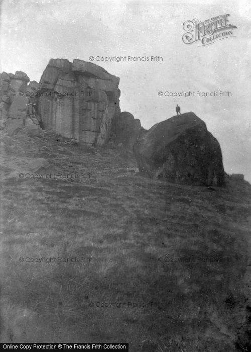Photo of Ilkley, Cow And Calf c.1910