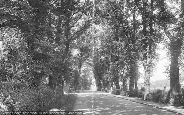 Photo of Ingatestone, Station Road 1925