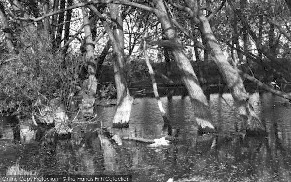 Photo of Ingatestone, The Pond c.1965