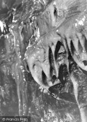 The Elephant's Head, White Scar Cave c.1955, Ingleton