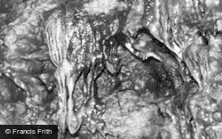 Turkey Skeleton, White Scar Caves c.1955, Ingleton