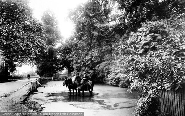 Photo of Ingrave, Dairy Farm Pond 1908