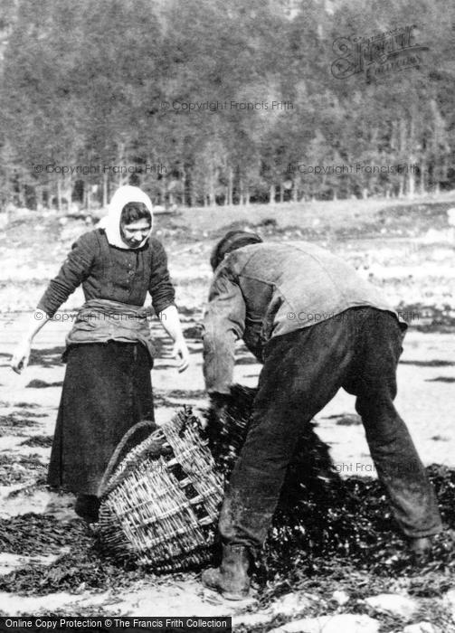 Photo of Inveraray, Couple Collecting Seaweed c.1890