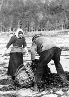 Couple Collecting Seaweed c.1890, Inveraray
