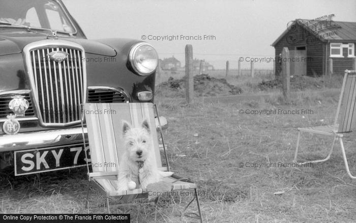Photo of Inverness, Sandy The Dog c.1963
