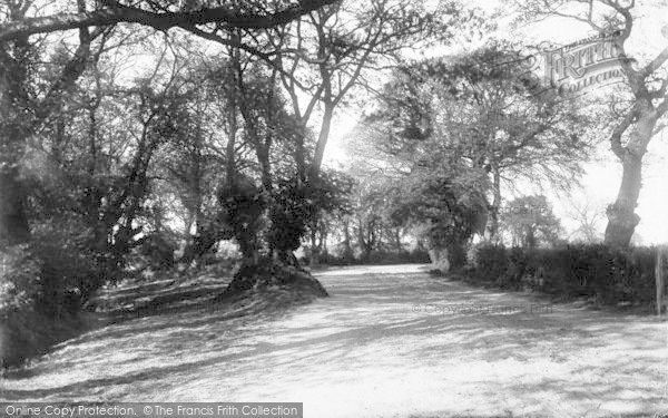 Photo of Ipswich, Gainsborough Lane 1893
