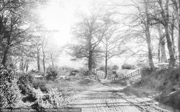 Photo of Ipswich, Gainsborough Lane 1893