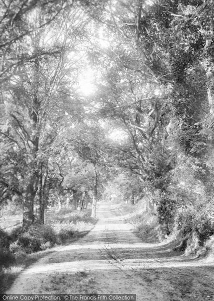 Photo of Ipswich, Gainsborough Lane 1909