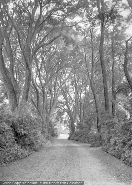 Photo of Ipswich, Gainsborough Lane 1921