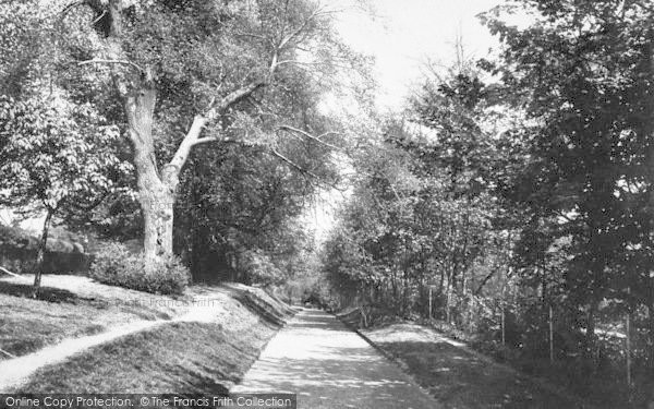 Photo of Ipswich, Lower Arboretum 1893