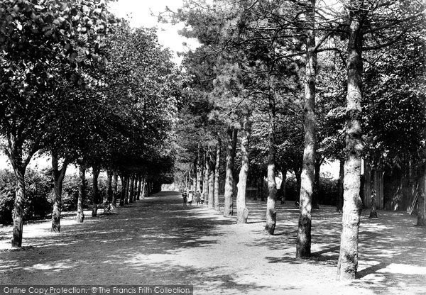 Photo of Ipswich, The Promenade 1899