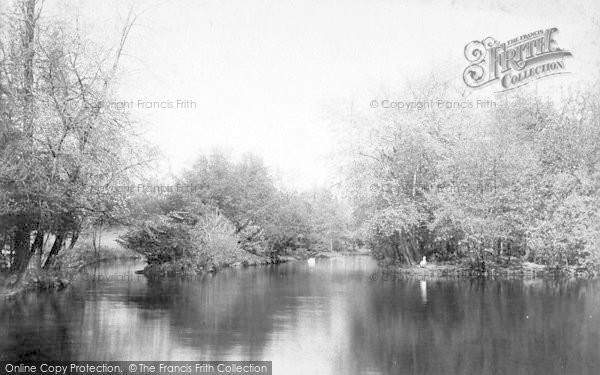 Photo of Ipswich, Wilderness Pond 1896
