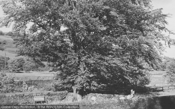 Photo of Ireshopeburn, John Wesley's Tree c.1955