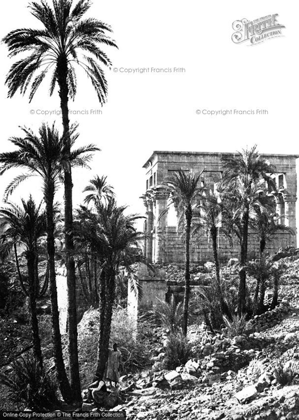 Island of Philae, Group of Palms 1860
