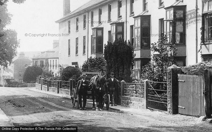 Photo of Ivybridge, Erm Terrace 1903