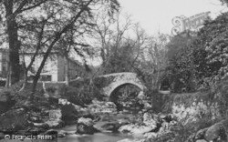 The Old Bridge 1890, Ivybridge