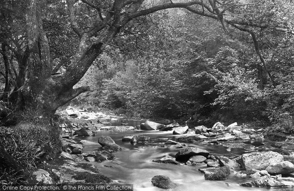 Photo of Ivybridge, The Woods 1903