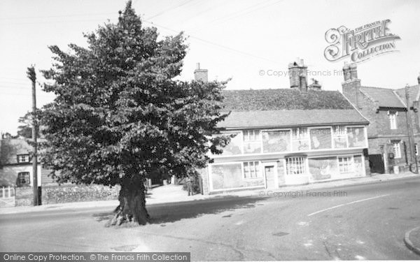 Photo of Ixworth, The Tree c.1955